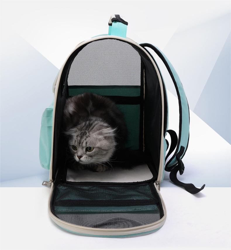 transportador de mascotas