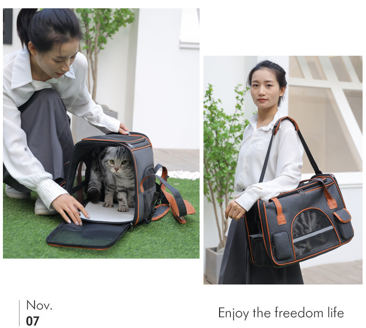 bolso port&aacute;til portador de mascotas