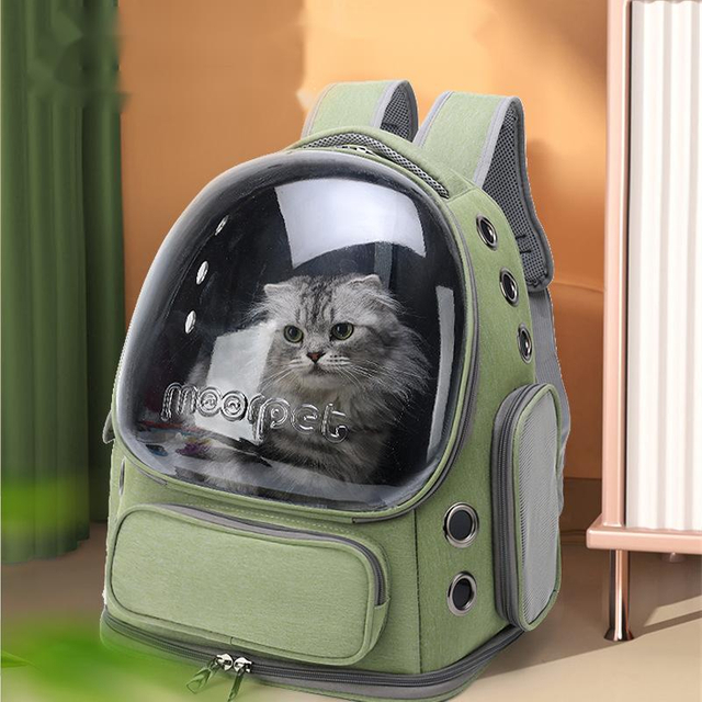 Mochilero de mascotas de gran espacio transpirable para kitty para perros pequeños transparentes y portadores de mascotas plegables para caminar de viaje